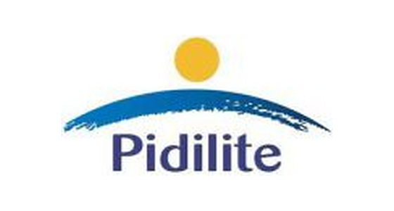 Pidilite — brand available at Gupta Sanitation, Udaipur